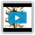 Spine tutorial (2) - Features of a vertebra - Anatomy Tutorial