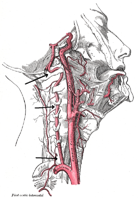 fájdalom a nyaki gerincben forduláskor nimulid tabletta ízületi fájdalmak kezelésére
