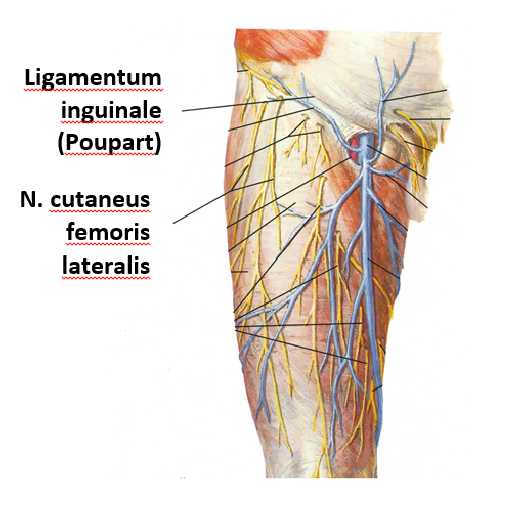 a láb kicsi ízületeinek artrózisának kezelésére szolgáló készítmények a jobb oldal ízületei fájnak